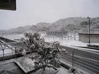 ２０１１年２月１１日（金）　大阪の雪