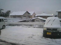 ２０１１年２月１４日（月）　大雪だ！！　家に帰れない！！